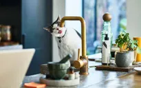Hóa đơn tiền nước tại Anh tăng cao nhất trong gần hai thập kỷ