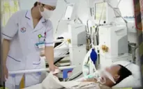 3 người ngộ độc nghi ăn nhầm so biển