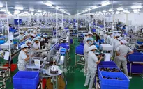 Chuyên gia Ấn Độ nêu những yếu tố tạo nên tăng trưởng ấn tượng của kinh tế Việt Nam