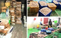 Phát hiện hơn 9 tấn thực phẩm không rõ nguồn gốc