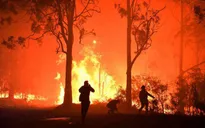 La Nina khiến thời tiết Australia ấm và ẩm hơn mức trung bình
