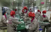 ASEAN, Trung Quốc nâng cấp khu vực thương mại tự do
