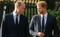 Hoàng tử William "cần thời gian để bình tĩnh" sau khi hồi ký của Hoàng tử Harry được xuất bản