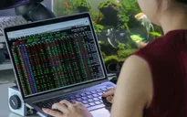 VN-Index vẫn mất hơn 8 điểm trong phiên cổ phiếu dầu khí “thăng hoa”