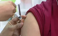 Vĩnh Long: Lượt người tiêm phòng dại tăng khoảng 60% so với cùng kỳ năm 2022