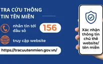 Hướng dẫn tra cứu tên miền an toàn qua đầu số 156
