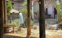 Campuchia kiểm soát được dịch cúm gia cầm H5N1