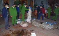 Thái Nguyên: Tuyên phạt Chủ tịch xã giết hổ nấu cao tại nhà 36 tháng tù