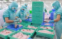 Cơ hội hợp tác xuất khẩu thủy sản Việt Nam sang Na Uy