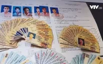 Cảnh báo tình trạng sử dụng giấy phép lái xe giả