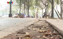 Cần giải quyết dứt điểm những sai phạm ở công viên Tuổi Trẻ
