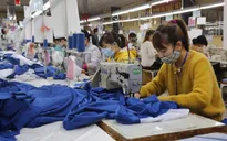 Hơn 58.000 doanh nghiệp TP Hồ Chí Minh nợ bảo hiểm xã hội