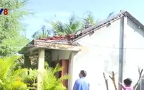 Phú Yên triển khai xây dựng 931 căn nhà Đại đoàn kết