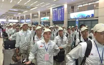 Tạm dừng tuyển lao động sang Hàn Quốc đối với 8 huyện, thị xã, thành phố