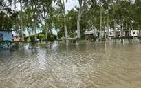 Australia: Mưa lớn gây lũ lụt nghiêm trọng, người dân bang Queensland phải sơ tán