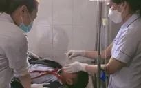 11 học sinh bị ngộ độc do ăn hạt quả ngô đồng