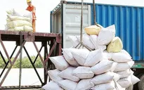 Giá gạo Việt Nam tăng cao