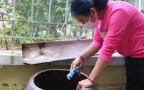 Long An đẩy mạnh công tác phòng, chống sốt xuất huyết