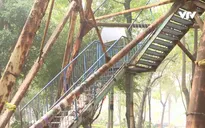 Hà Nội quyết đòi lại không gian cho công viên Tuổi Trẻ
