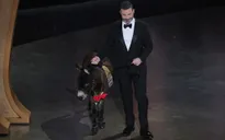 Lừa được mang lên sân khấu lễ trao giải Oscar 2023