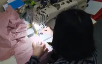 Trường công lập nợ lương và BHXH kéo dài