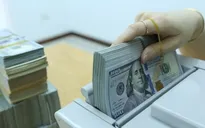 Tỷ giá trong nước tiếp tục hạ nhiệt