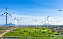 Bộ Công Thương: Khung giá phát điện cho các dự án năng lượng tái tạo được tính đúng, tính đủ