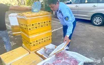Thu giữ gần 1 tấn thực phẩm không rõ nguồn gốc trên đường tới Đà Nẵng