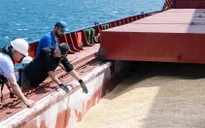 Thỏa thuận Sáng kiến Ngũ cốc Biển Đen chính thức được gia hạn