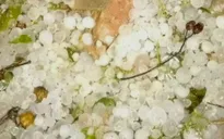 Mưa đá kéo dài ở Nghệ An