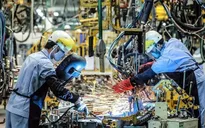 Việt Nam là điểm sáng trong bức tranh xám màu của kinh tế toàn cầu
