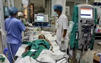 Bệnh nhân mắc liên cầu khuẩn dù không ăn lòng lợn tiết canh hay giết mổ lợn