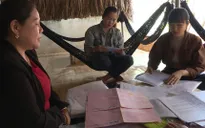 Lừa mua đất hộ, vay tiền rồi chiếm đoạt gần 60 tỷ đồng