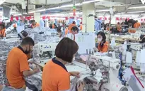 Doanh nghiệp nỗ lực giữ việc làm cho người lao động