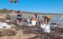 Dầu loang đe dọa khu bảo tồn biển của Philippines