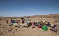 Hạn hán khiến 43 nghìn người Somalia thiệt mạng