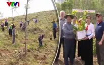 Phát động trồng rừng nhân Ngày quốc tế về rừng