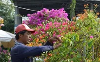 Đồng Tháp: Bảo tồn các làng nghề truyền thống có nguy cơ mai một
