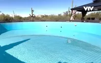 "Cuộc chiến" nước sinh hoạt ở Arizona, Mỹ