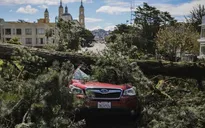 Bão hoành hành ở bang California: 5 người tử vong do cây đổ ở vùng vịnh San Francisco