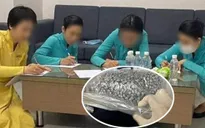 Vì sao Công an trả tự do 4 nữ tiếp viên hàng không?