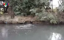 Người dân bức xúc vì nhà máy xả nước thải ra sông