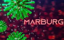 WHO thông báo về dịch Marburg ở châu Phi
