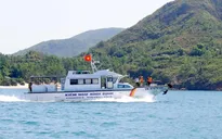 Khẩn trương thành lập lực lượng kiểm ngư tại nhiều tỉnh, thành ven biển