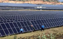 Bộ Công Thương thông tin lý do dừng huy động hơn 172 MW điện mặt trời Trung Nam