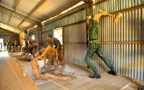 Nhà tù Phú Quốc - 50 năm hồi ức "địa ngục trần gian"