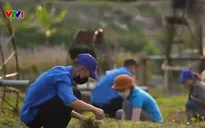 Thanh niên chung tay xây dựng "Miền quê cổ tích"