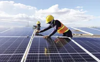Tăng trưởng xanh cần có lộ trình phù hợp, không chấp nhận tăng trưởng bằng mọi giá
