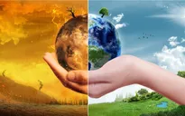 9 dự án carbon thấp tham gia Chương trình thúc đẩy tài chính khí hậu
