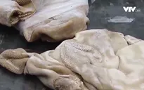 Lạng Sơn: Tiêu huỷ gần 10 tấn nội tạng động vật không rõ nguồn gốc